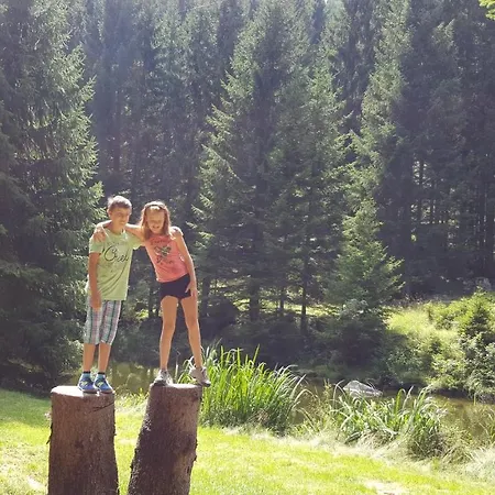 Thurnerhof Pensionat 3*