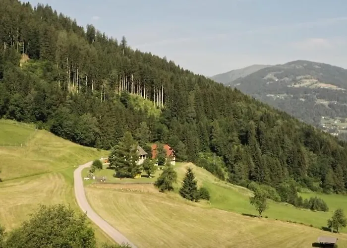 בית הארחה Thurnerhof 3*